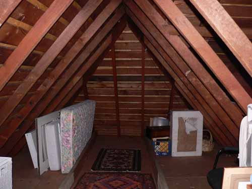 attic mold