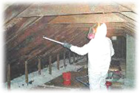 attic black mold remediation and abatement