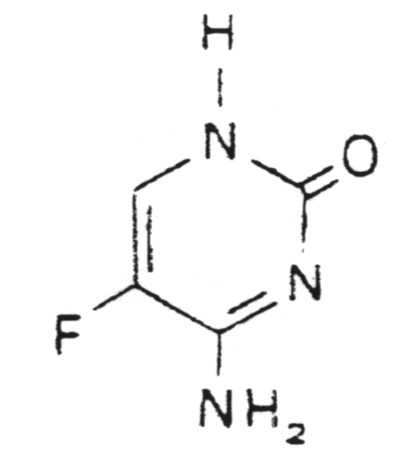 Pyrimidine 
      
  analogs