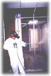 mold remediation