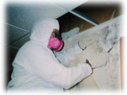 Mold Inspection